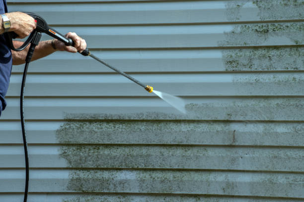 Best Pool Deck Cleaning in Maroa, IL